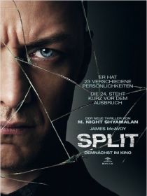 Split Poster.jpg